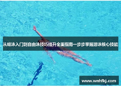 从蛙泳入门到自由泳技巧提升全面指南一步步掌握游泳核心技能